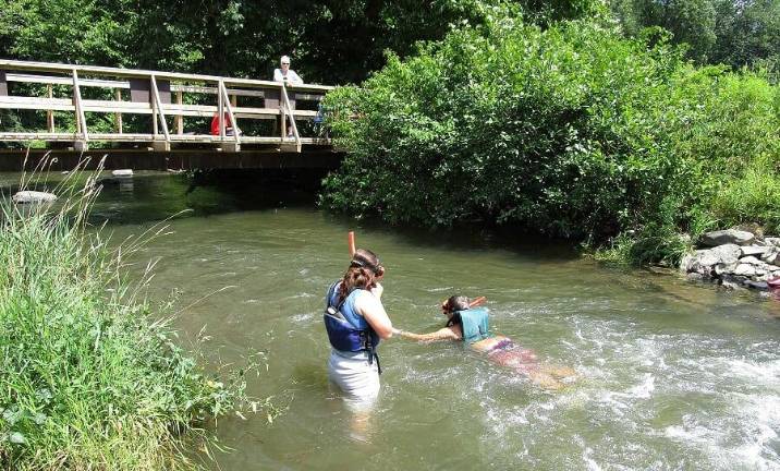 See snails and worms, turtles and frogs, about a zillion kinds of insects and dozens of plant species.