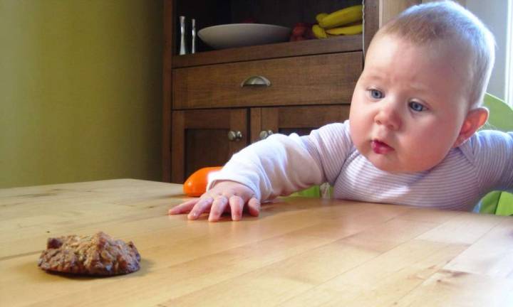 Chips or cookies? Toddlers with sweet tooth more likely to gain weight Chips or cookies? Toddlers with sweet tooth more likely to gain weight