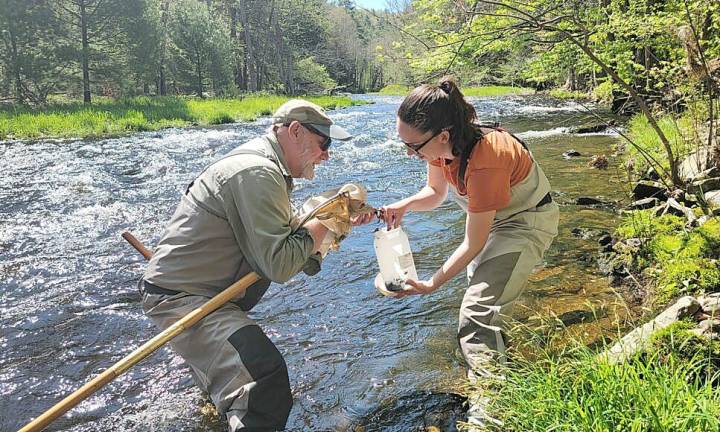 Stream health report in Pike County just out Stream health report in Pike County just out