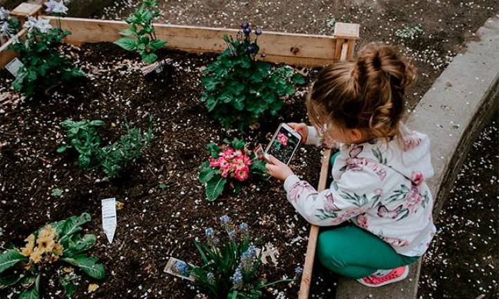 7 Frugal Gardening Tips and Tricks Photo courtesy of Unsplash