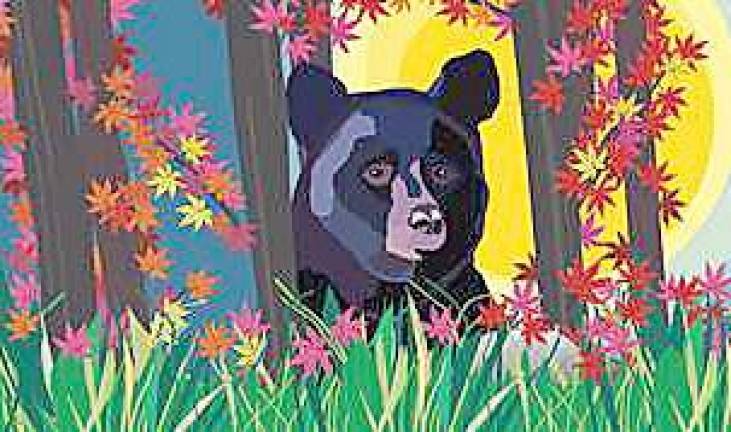 Black Bear Film Festival offers double feature at Akenac Park