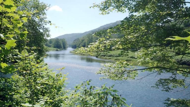 Delaware River (Cindy Taylor)