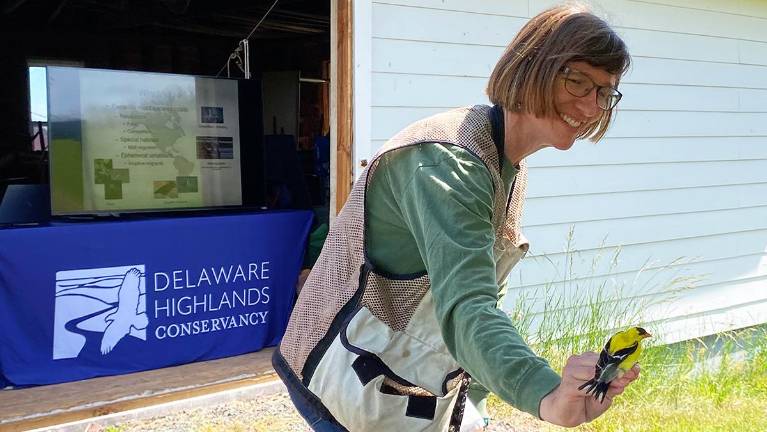 Community Programs Announced Forester and goldfinch