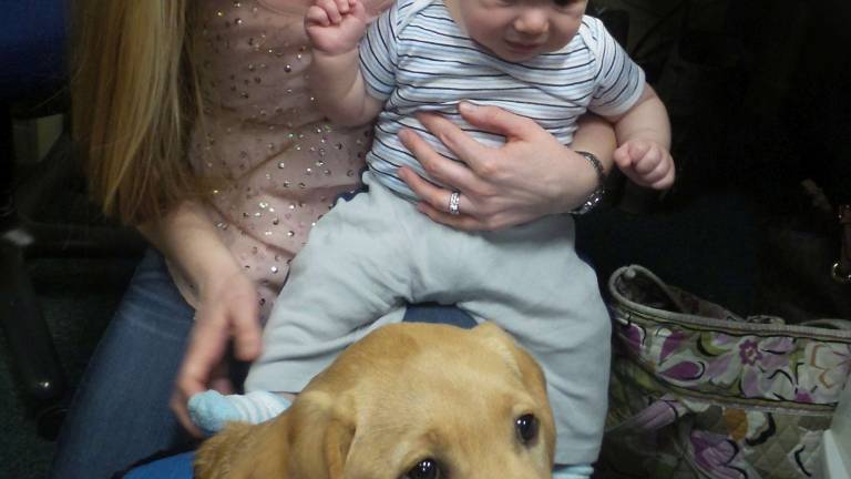 Benni, service dog in training, dazzles preschoolers Benni, service dog in training, dazzles preschoolers