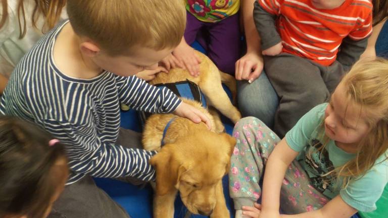 Benni, service dog in training, dazzles preschoolers Benni, service dog in training, dazzles preschoolers