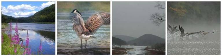 Park service: Vote for your favorite photo Park service: Vote for your favorite photo