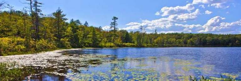 Lacawac Nature Fest on its way Lacawac Nature Fest on its way