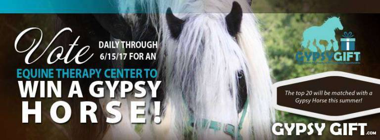 Help GAIT get a new horse: Just vote