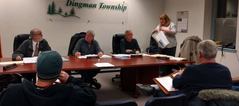 Backyard chickens law takes shape Dingman Township board (Photo by Anya Tikka)