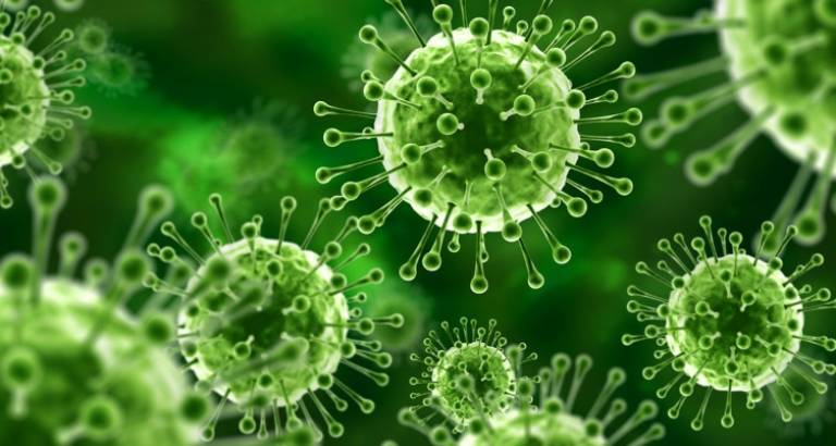 'Zombie cells' buildup in your body may play role in aging 'Zombie cells' buildup in your body may play role in aging