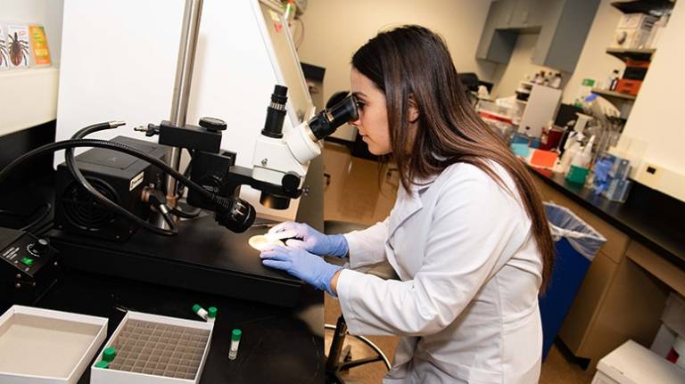 Elizabeth Barcellona, research assistant at the PA Tick Research Laboratory at East Stroudsburg University (ticklab.org)