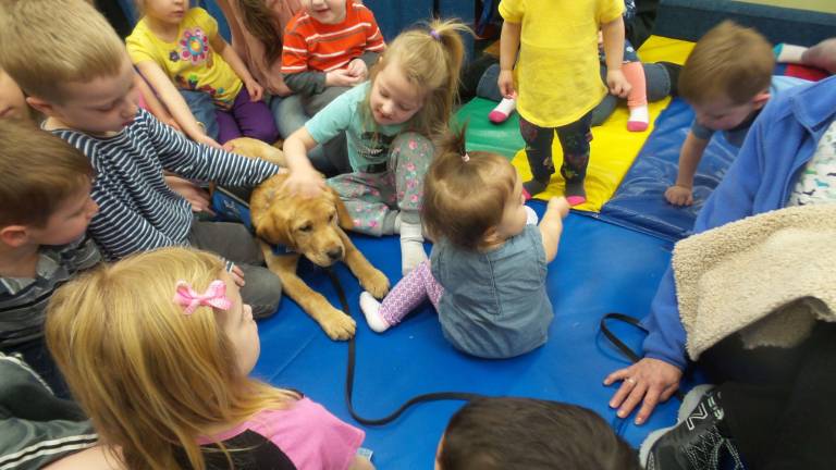 Benni, service dog in training, dazzles preschoolers Benni feels the love (Photo by Frances Ruth Harris)