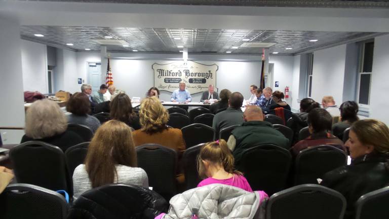 Testy meeting hints at revolution to come The borough meeting room was filled with frustrated residents (Photo by Frances Ruth Harris)
