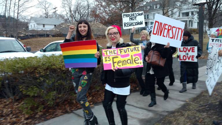 Dems organize trip to second Women's March A scene from the Women's March held in Milford last January (File photo by Anya Tikka)