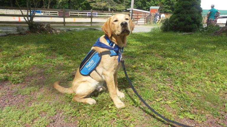 Benni is right to be proud of his progress (Photo by Frances Ruth Harris)