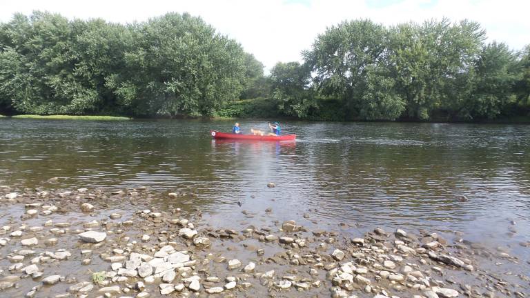 Keeping up with Benni Benni loved his Delaware River adventure with Chrisanne Cubby and Zack Walck of Kittatinny Canoes (Photo by Frances Ruth Harris)