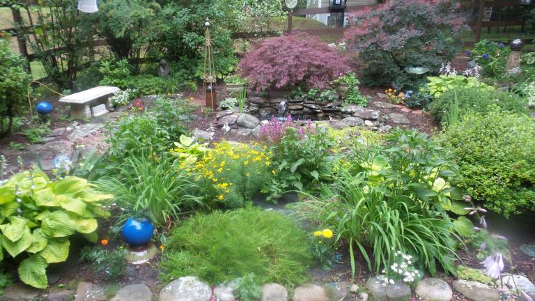 Secret gardens, revealed (Photo by Frances Ruth Harris)