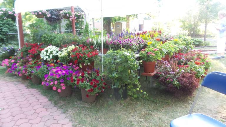 How does your garden grow? Town and Country Secret Garden Tour of the Milford Garden Club takes in everything from koi How does your garden grow? Town and Country Secret Garden Tour of the Milford Garden Club takes in everything from koi