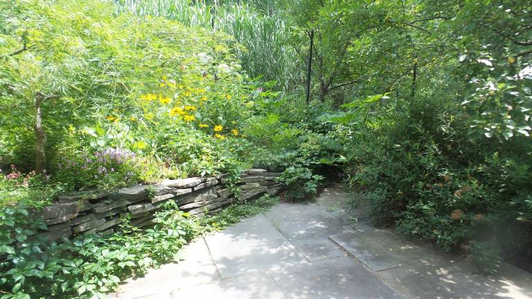 How does your garden grow? Town and Country Secret Garden Tour of the Milford Garden Club takes in everything from koi How does your garden grow? Town and Country Secret Garden Tour of the Milford Garden Club takes in everything from koi