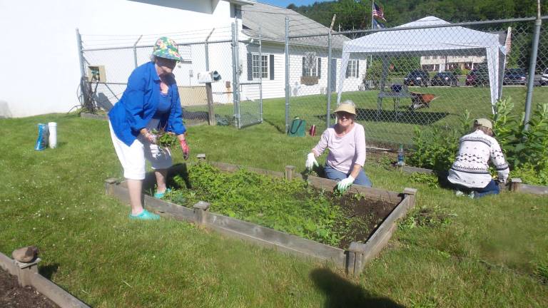 Garden club plants, weeds, and harvests to feed the hungry Many came to weed and plant the community garden (Photo by Frances Ruth Harris)