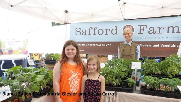 Food, music, and purring alpacas Bianca Zauchn, Alexandria Giesler and Susan Carroll