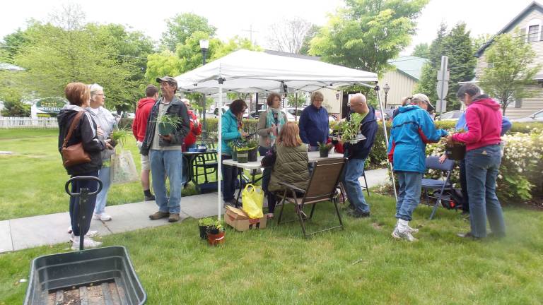 Gardens grow with help from annual plant sale Gardens grow with help from annual plant sale