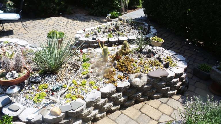 Milford's gardens, revealed One of the cactus plantings at Connie and Rick Nichols' gardens at 312 W Catherine Street