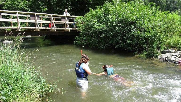 Snorkel your way through Cherry Creek Snorkel your way through Cherry Creek