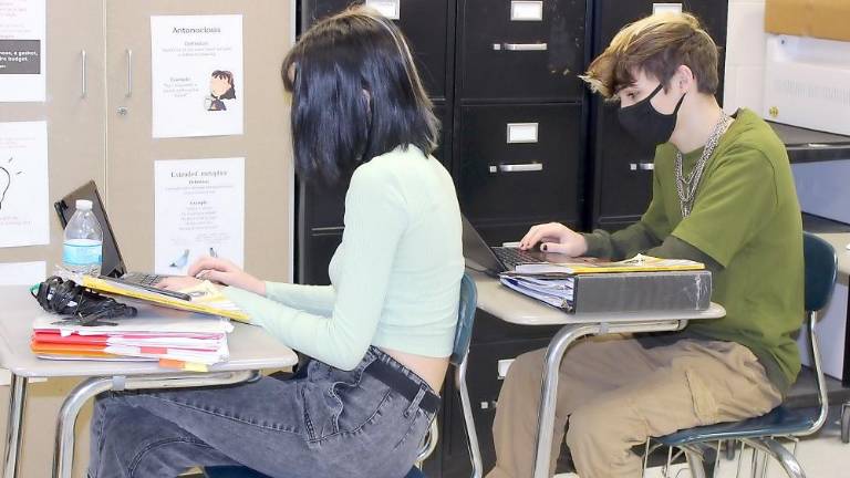 Tenth graders Justinn Brockway and Adam Frey put Chromebooks to good use at Delaware Valley High School (Photo provided)