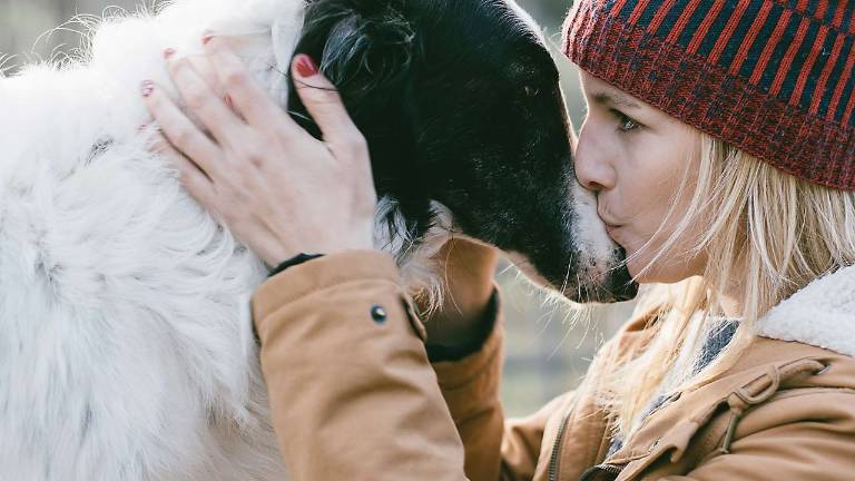 At some colleges, no need to be separated from a beloved pet At some colleges, no need to be separated from a beloved pet
