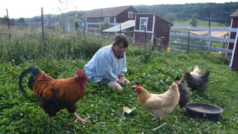 Gabrielle Stubbert, co-founder and executive director of Tamerlaine Farm Animal Sanctuary in Montague, N.J., with Lennon the rooster, who was delighted when four hens – Salt N Pepa, Agave and Honey – arrived recently to keep him company. The sanctuary is full and having to turn away chickens. (Photo by Becca Tucker)