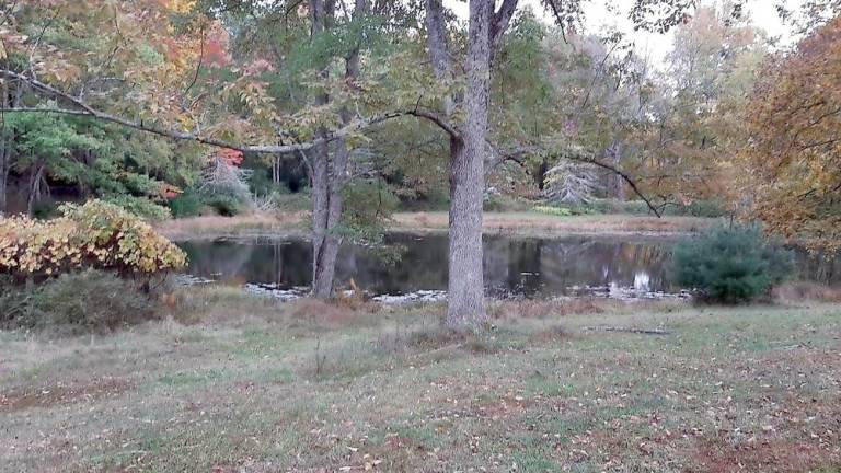 House and land offer great investment opportunity House and land offer great investment opportunity
