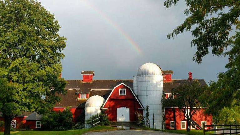 Spend time on the farm during Lusscroft Day Spend time on the farm during Lusscroft Day