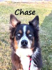 Meet Chase
