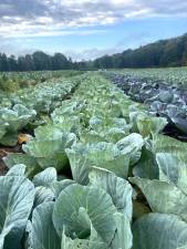 Fermentation workshop on Oct. 19
