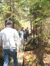 Past program attendees hiking through Camp Speer’s bog, along the boardwalk.