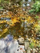 Like a mosaic of color and water, the mosaic of habitats creates a whole that is more than the sum of its parts. Photo provided by the Brodhead Watershed Association.