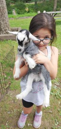 Country Ark Farm camp ends, making way for much else