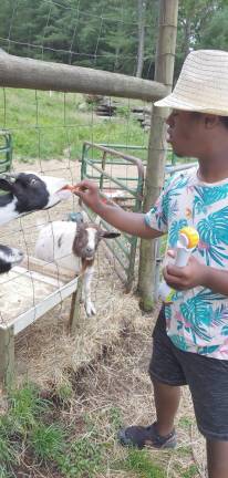 Country Ark Farm camp ends, making way for much else