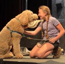 Annie (played by Maelyn (Mae) McCormack) with her stage dog Sandy (Played by local Goldendoodle Bernie)