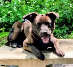 Meet Jack