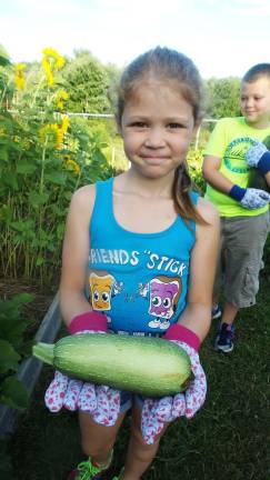 Peyton Fitzpatrick discovers a huge zucchini hiding under leaves in the garden (Photo by Frances Ruth Harris)