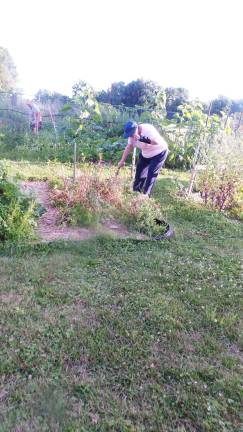 Pike County Extension’s Master Gardener Angela Williams meets with young 4H-ers at The Smith-Harker Community Garden on Wilson Hill Road (Photo by Frances Ruth Harris)
