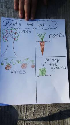 Each 4H gardener received a work sheet to write thoughts to complete the lesson (Photo by Frances Ruth Harris)