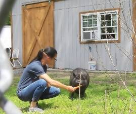 Christine Cahill with Sally the pig.