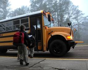 Safe driving near school buses examined