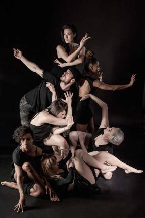 Human Collective (Photo provided)