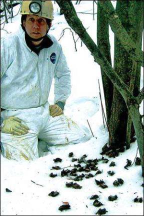 Hundreds of Pa. bats killed by mysterious disease