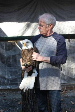 Bill Streeter and the rescued eagle (Photo by Linda Fields)