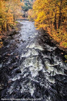 'Rapids on the Mongaup' wins fall photo contest